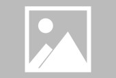 爱游戏正版平台-莱比锡红牛vs沙尔克04赛果